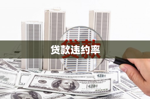 河东贷款违约率