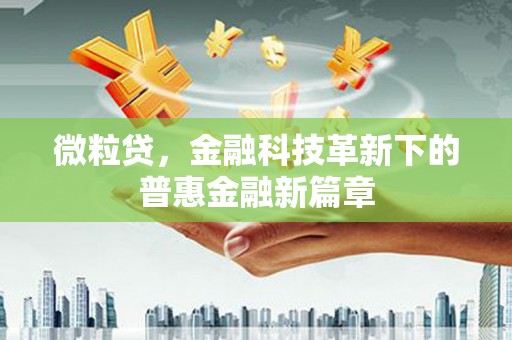 河东微粒贷，金融科技革新下的普惠金融新篇章