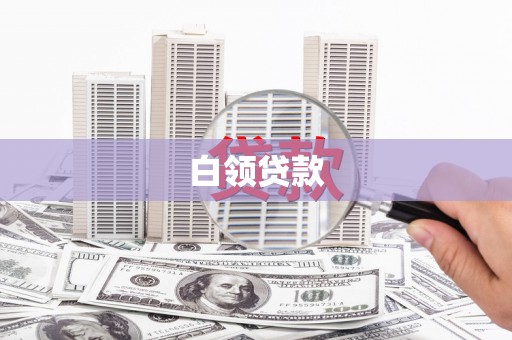 河东白领贷款