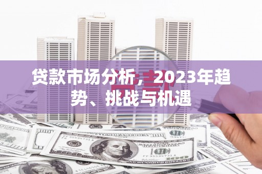 河东贷款市场分析，2023年趋势、挑战与机遇