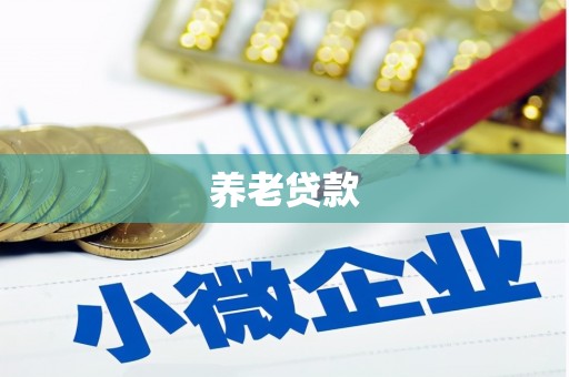 河东养老贷款