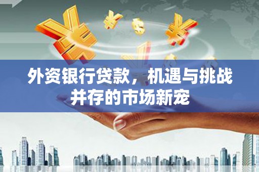 河东外资银行贷款，机遇与挑战并存的市场新宠