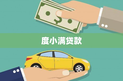 河东度小满贷款