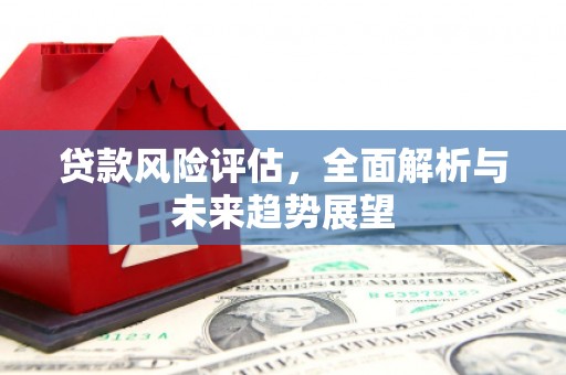 河东贷款风险评估，全面解析与未来趋势展望