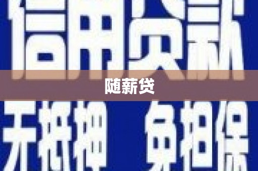 河东随薪贷