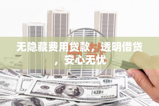 河东无隐藏费用贷款，透明借贷，安心无忧