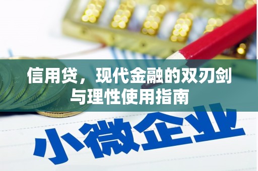 河东信用贷，现代金融的双刃剑与理性使用指南