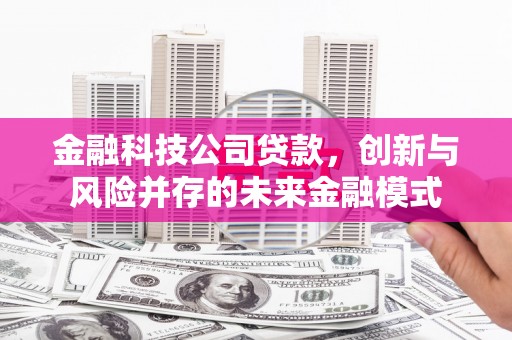 河东金融科技公司贷款，创新与风险并存的未来金融模式