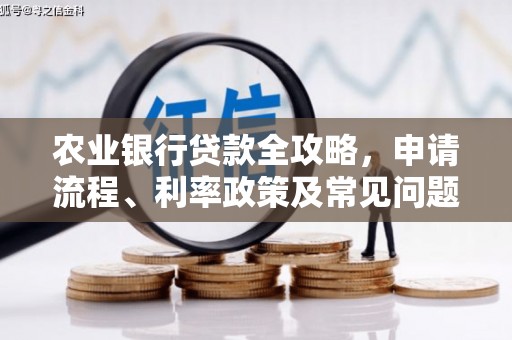 河东农业银行贷款全攻略，申请流程、利率政策及常见问题解析