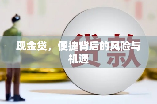 河东现金贷，便捷背后的风险与机遇