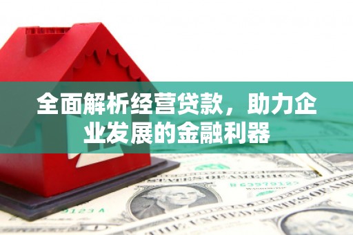 河东全面解析经营贷款，助力企业发展的金融利器