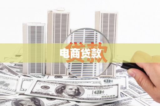 河东电商贷款