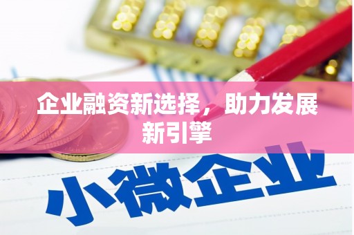 河东企业融资新选择，助力发展新引擎