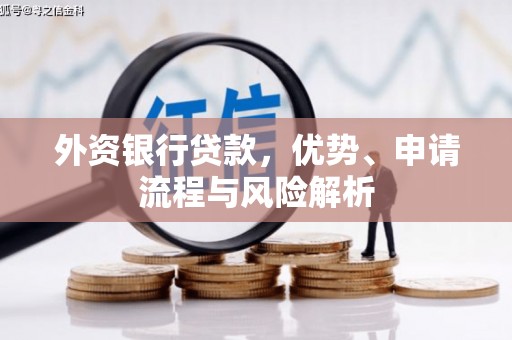 河东外资银行贷款，优势、申请流程与风险解析