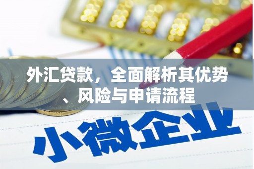 河东外汇贷款，全面解析其优势、风险与申请流程