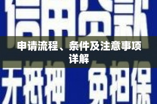 河东申请流程、条件及注意事项详解