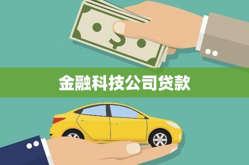 河东金融科技公司贷款