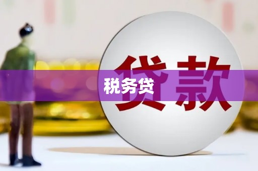 河东税务贷