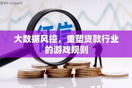 河东大数据风控，重塑贷款行业的游戏规则