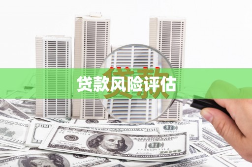 河东贷款风险评估