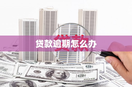 河东贷款逾期怎么办