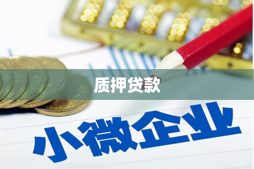 河东质押贷款
