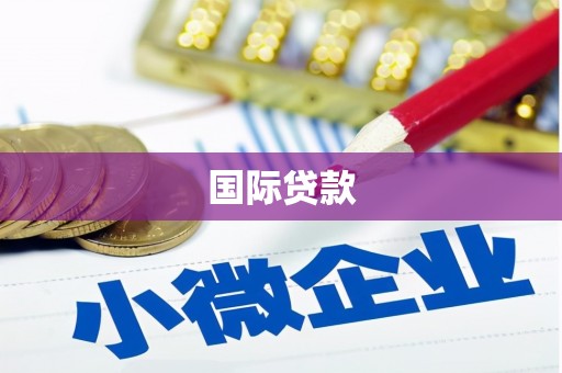河东国际贷款
