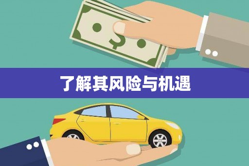 河东了解其风险与机遇