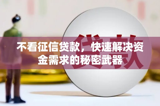河东不看征信贷款，快速解决资金需求的秘密武器