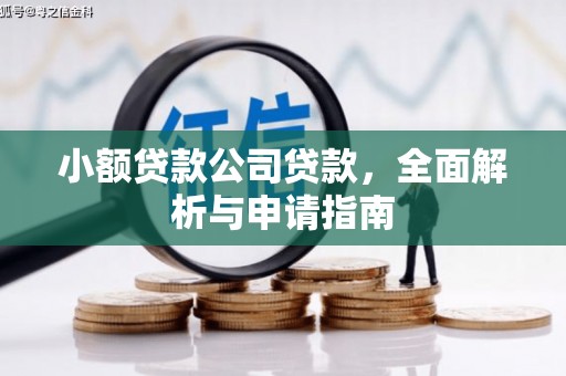 河东小额贷款公司贷款，全面解析与申请指南