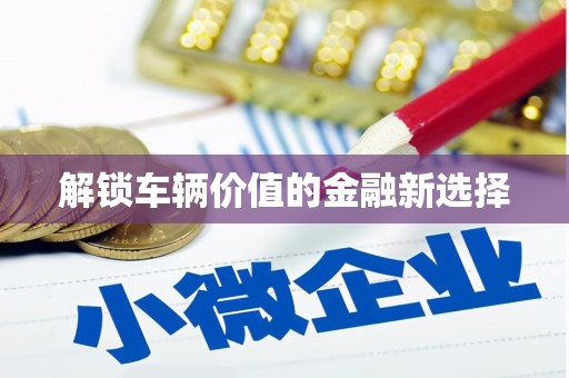 河东解锁车辆价值的金融新选择