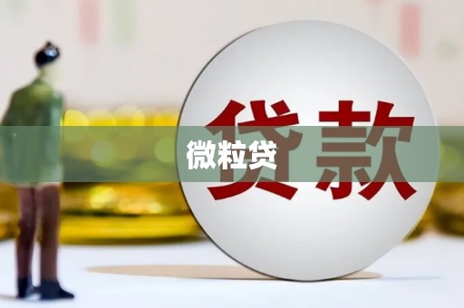 河东微粒贷