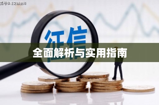 河东全面解析与实用指南