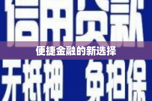 河东便捷金融的新选择