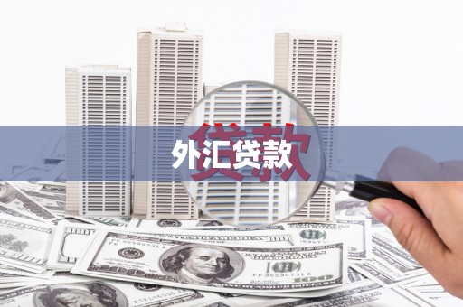 河东外汇贷款