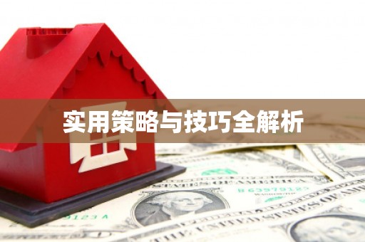 河东实用策略与技巧全解析
