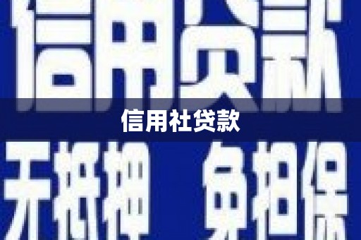 河东信用社贷款