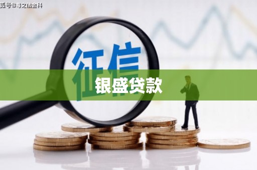 河东银盛贷款