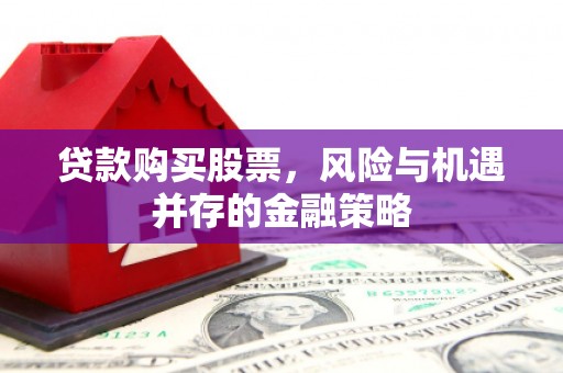 河东贷款购买股票，风险与机遇并存的金融策略