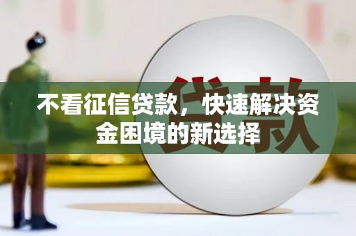 河东不看征信贷款，快速解决资金困境的新选择