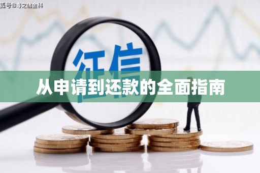 河东从申请到还款的全面指南
