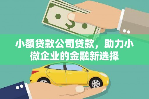 河东小额贷款公司贷款，助力小微企业的金融新选择