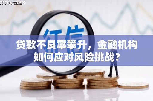 河东贷款不良率攀升，金融机构如何应对风险挑战？