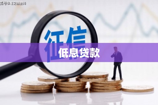 河东低息贷款