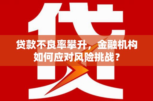 河东贷款不良率攀升，金融机构如何应对风险挑战？