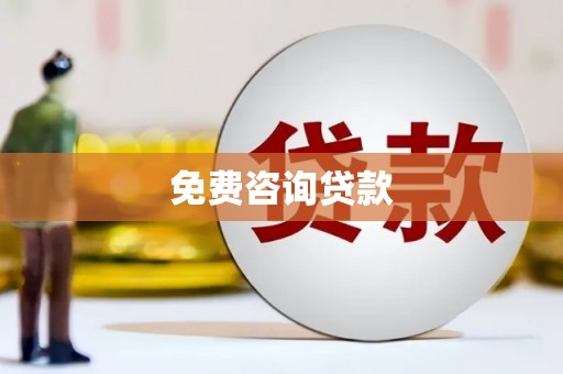 河东免费咨询贷款