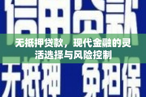 河东无抵押贷款，现代金融的灵活选择与风险控制