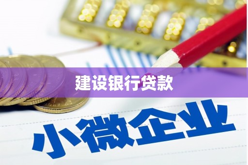 河东建设银行贷款