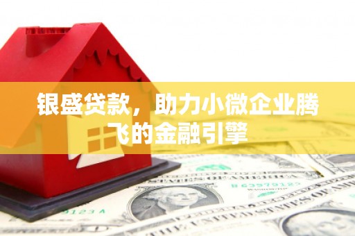 河东银盛贷款，助力小微企业腾飞的金融引擎