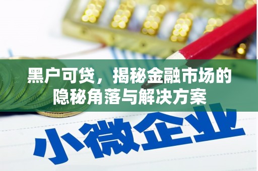 河东黑户可贷，揭秘金融市场的隐秘角落与解决方案